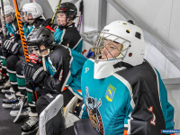 ����� ������ ��������� ����������� �� ������