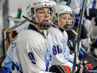 ����� ������ ��������� ����������� �� ������