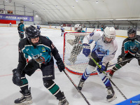 ����� ������ ��������� ����������� �� ������