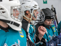 ����� ������ ��������� ����������� �� ������