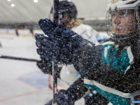 ����� ������ ��������� ����������� �� ������