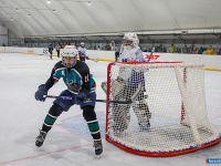 ����� ������ ��������� ����������� �� ������