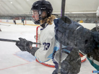 ����� ������ ��������� ����������� �� ������