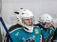 ����� ������ ��������� ����������� �� ������