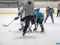 ����� ������ ��������� ����������� �� ������