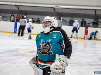 ����� ������ ��������� ����������� �� ������