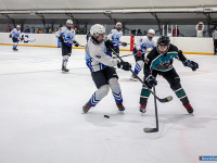 ����� ������ ��������� ����������� �� ������