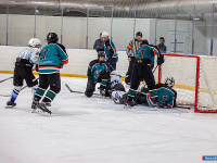 ����� ������ ��������� ����������� �� ������