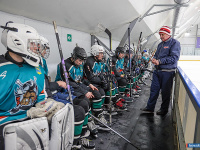 ����� ������ ��������� ����������� �� ������