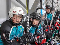 ����� ������ ��������� ����������� �� ������