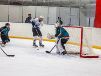 ����� ������ ��������� ����������� �� ������