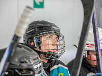 ����� ������ ��������� ����������� �� ������