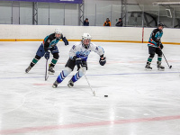 ����� ������ ��������� ����������� �� ������