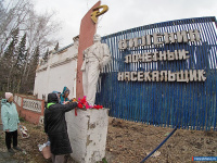 � ������ ������ ���������� ��������� �� ���������� ������