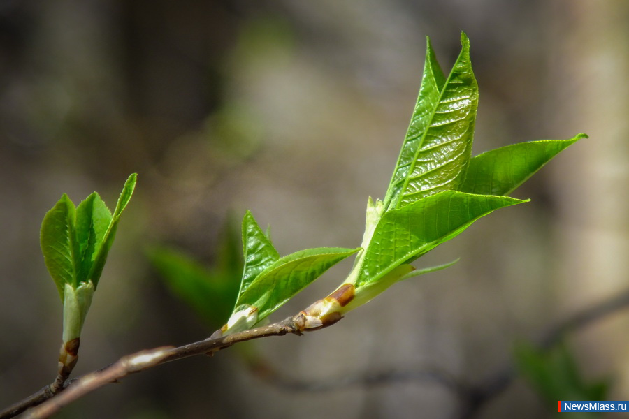 ������������ � ����� ������ ����� � �������� � ������. ��-�� ������ ����� ����������� ������� � �������� ����� ��������� ������ � ����� � ����� ����