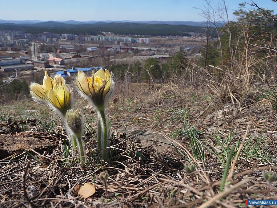 ����� ������ � ������ ����� ����������. �� ������ ����������� ������� � ������ �� ���������� ���� ���� 13, ������������ ����� ���� �����