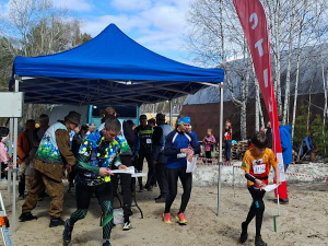 �������������� ������ �������� ���� �������� �������