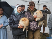 ������ ������ �������� ���� �������� ������� ������