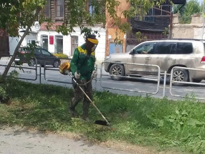 � ������ ���������� �������� �������