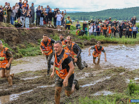 ����� ���� 253-� ��� ����� ������ - � ��������� ���������� ��������